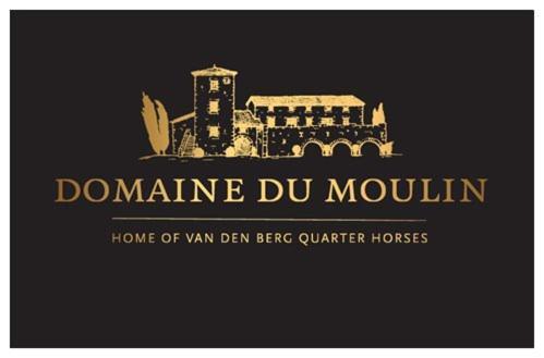Les Mesanges Du Domaine Du Moulin 31 Villa Trollat Buitenkant foto